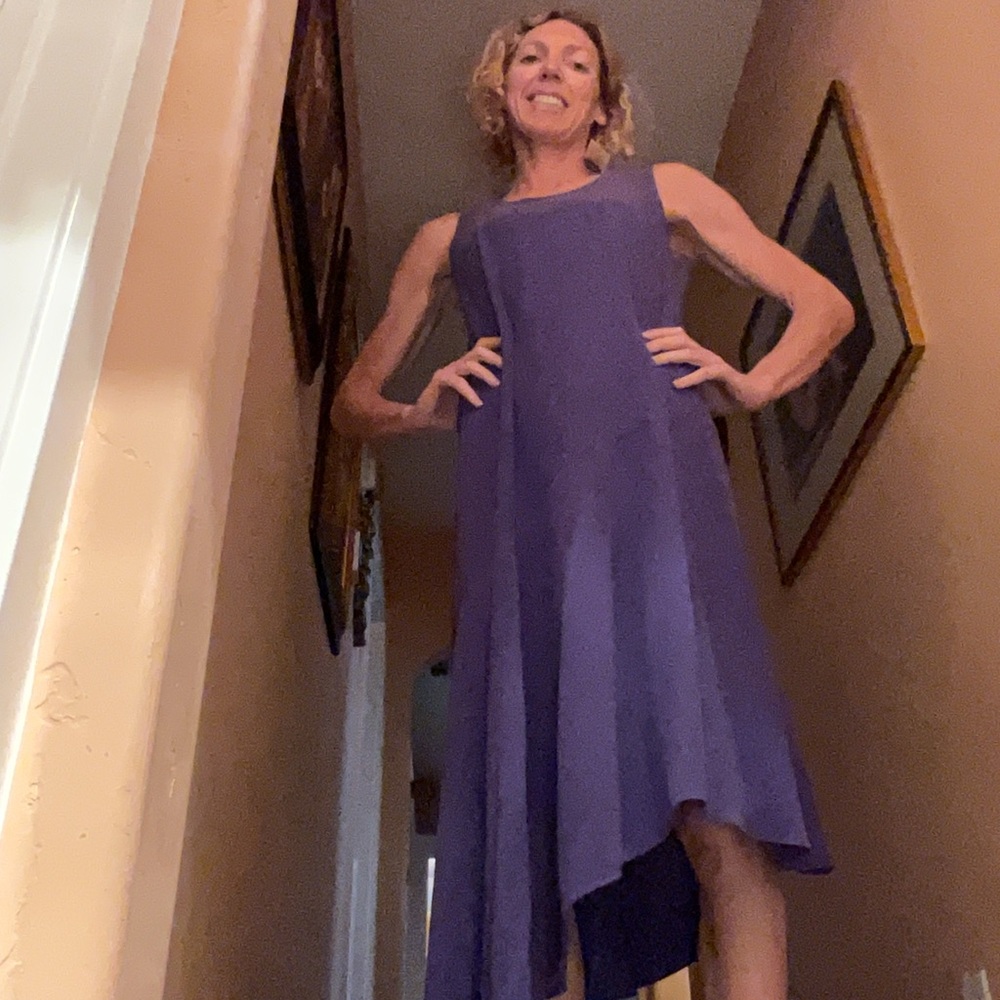 Eileen Fisher Rich Purple Maxi Dress NWOT